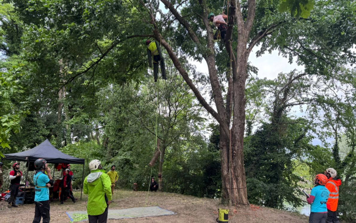 Arboricoltori