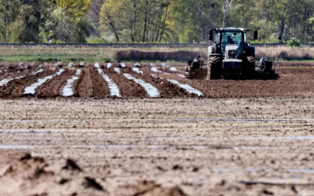 Agricoltori (foto Ansa)