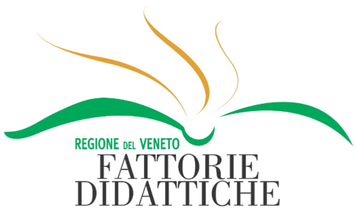 Fattorie didattiche del Veneto