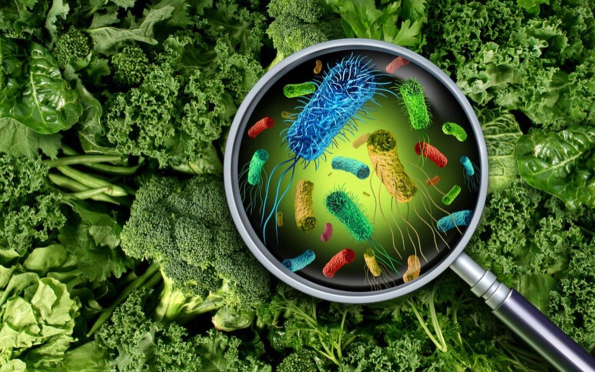 Sicurezza alimentare (foto Ansa)
