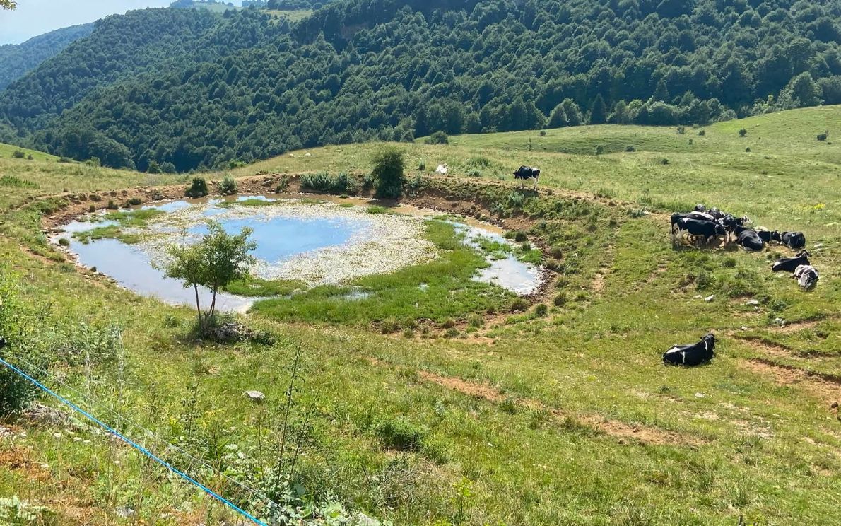 Lessinia