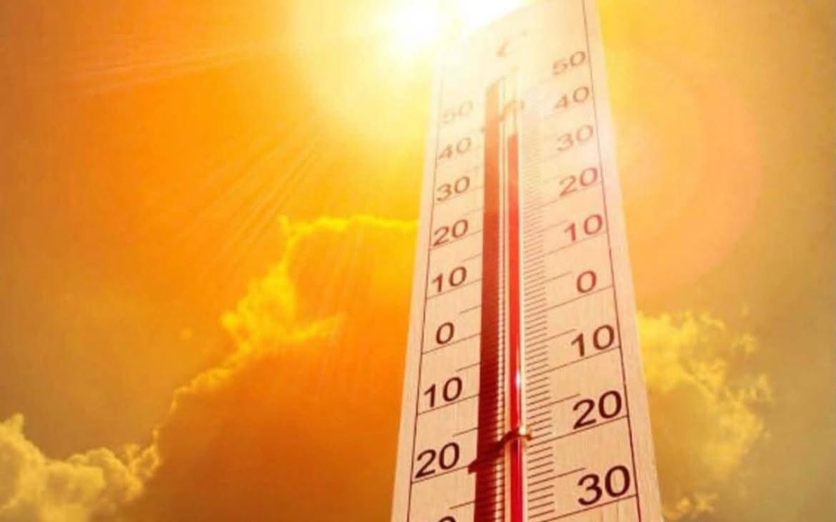 Caldo