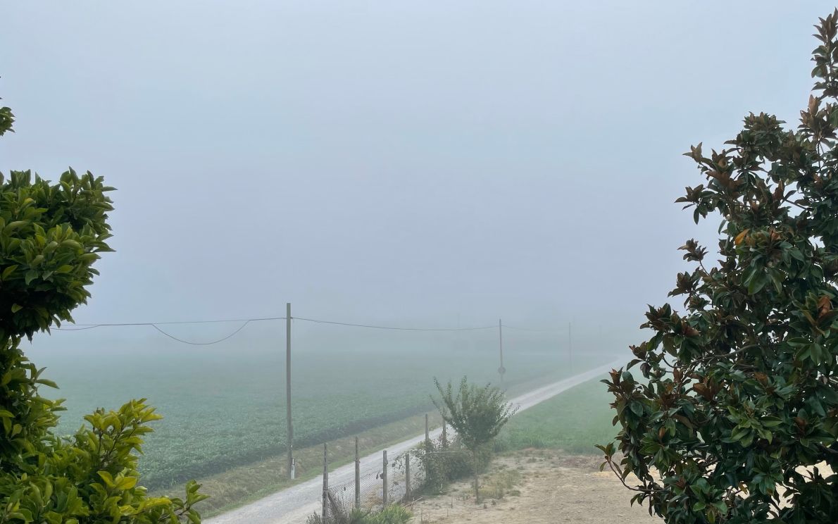 Nebbia in agosto