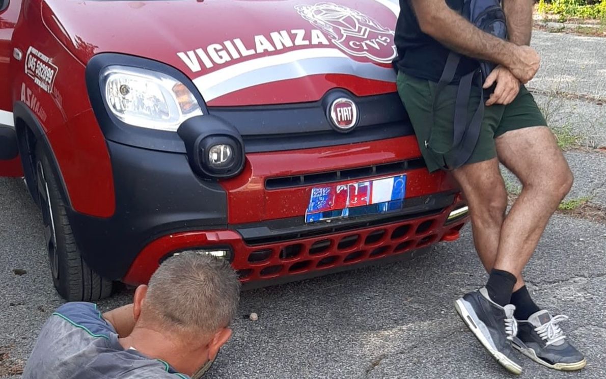 Ladri bloccati dalle guardie giurate