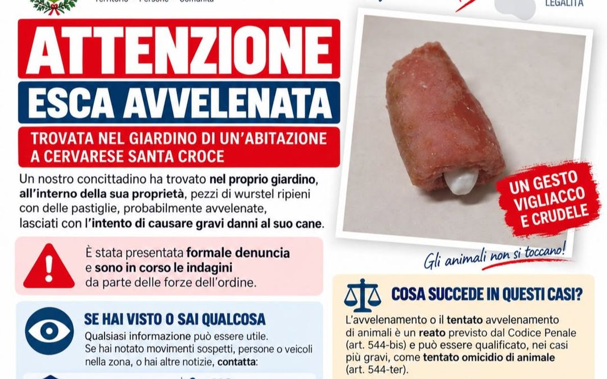 Bocconi avvelenati a Cervarese