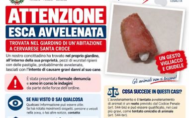 Bocconi avvelenati a Cervarese