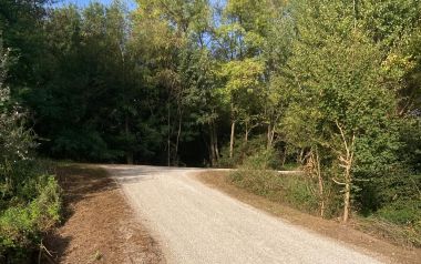 Argine del Brenta a Fontaniva