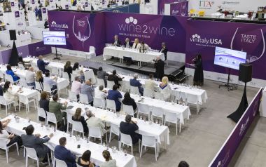 wine to wine