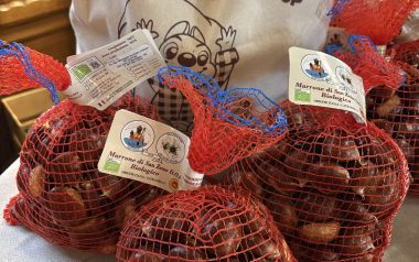 Castagne