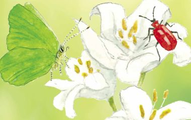 Premio Biodiversità 2026