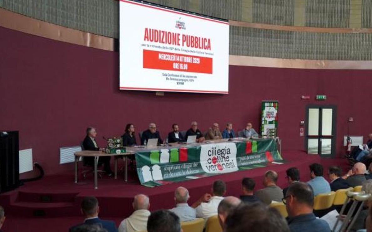 Conferenza