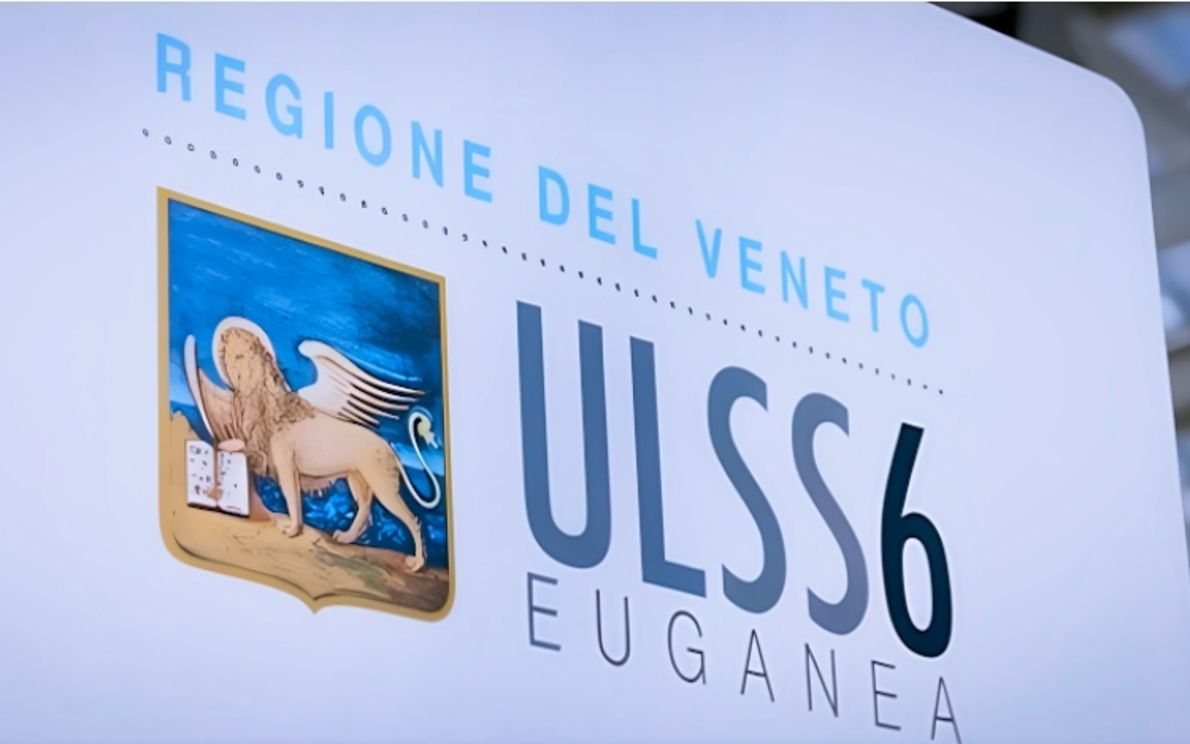 Ulss 6