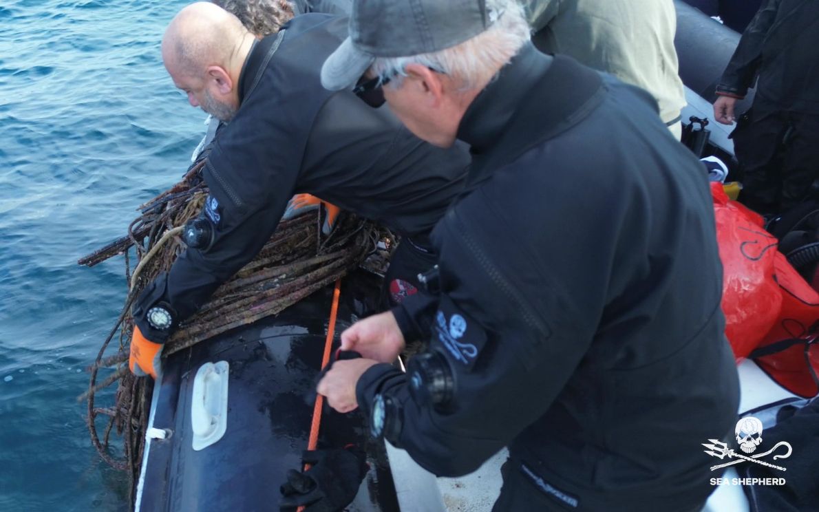 Sea Shepherd, recupero reti Tegnùe di Chioggia