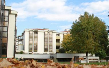 Centro Servizi Beato Pellegrino, AltaVita-IRA