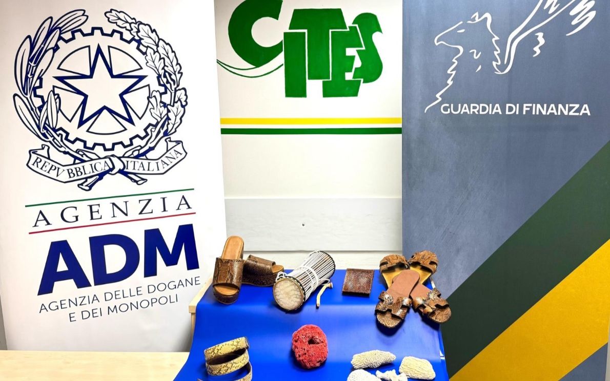 Conferenza