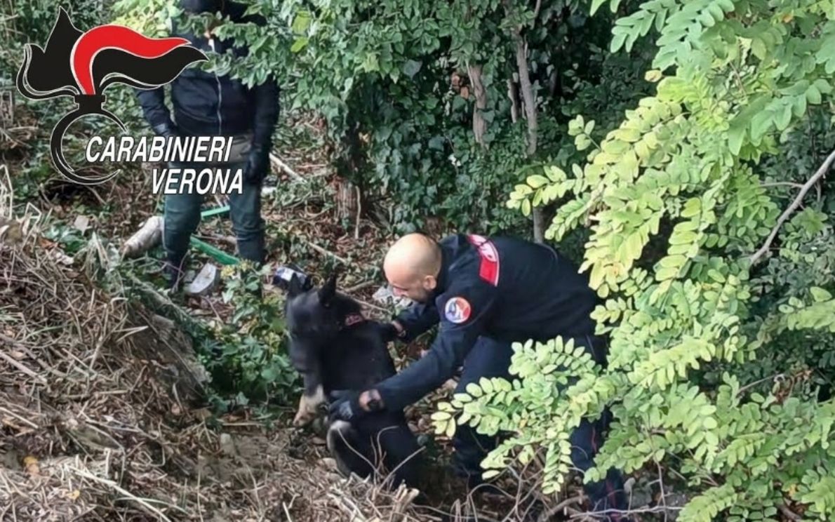 Foto carabinieri
