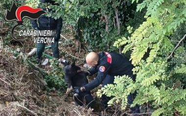 Foto carabinieri