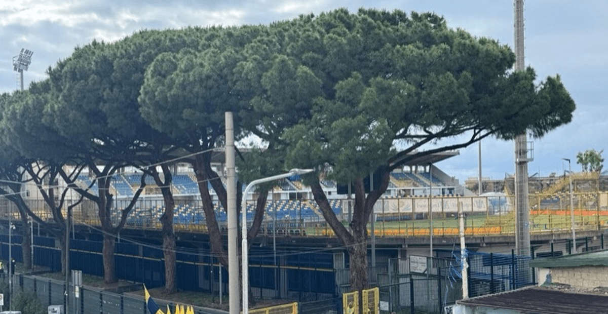 LIVE | Juve Stabia-Verona: Baroni cambia tutto | TgGialloblu | Telenuovo