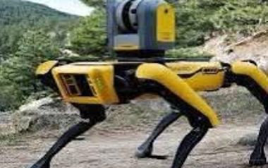 Cane robot