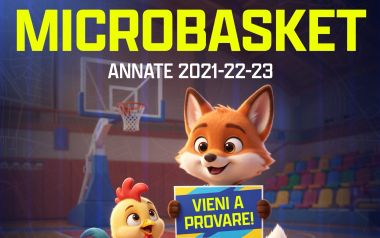 Microbasket